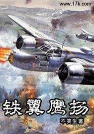 铁翼鹰扬封面