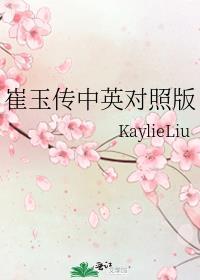 崔玉传中英对照版封面