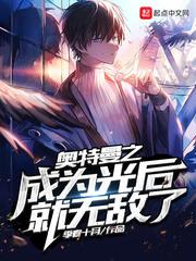 奥特曼之光影旅行者封面