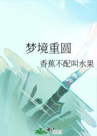 梦境重圆封面