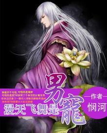 漫天飞舞是男宠封面