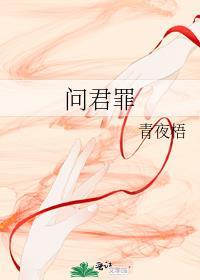 问君罪封面