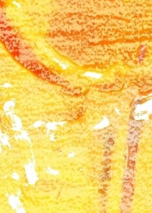 [咒回]侵占两面宿傩身体后封面