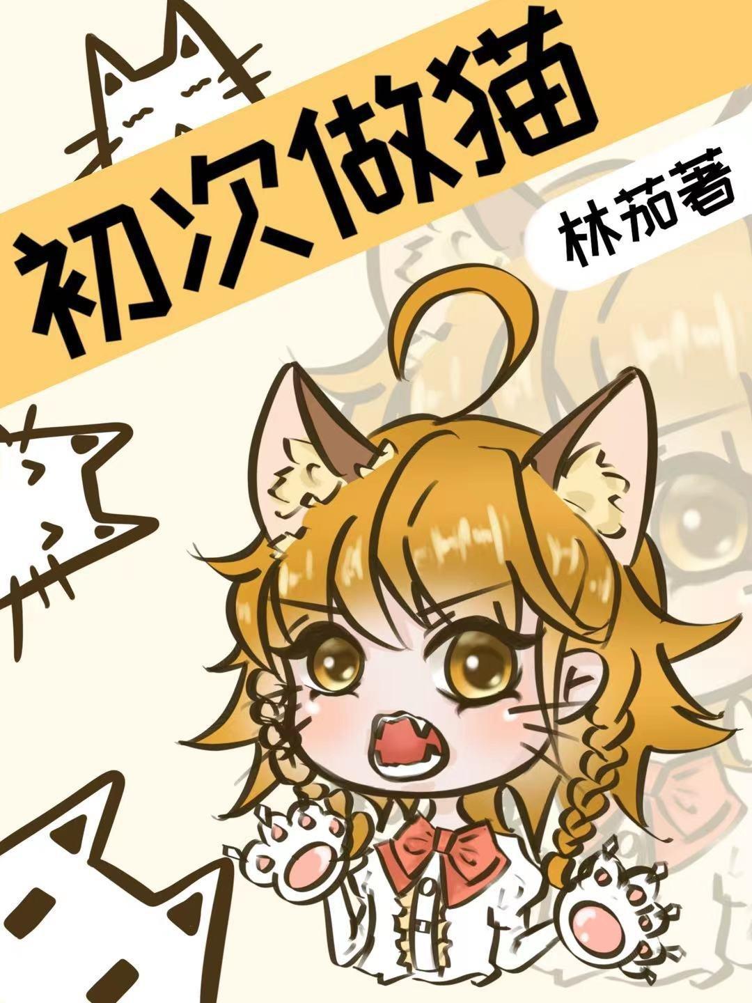 初次做猫封面