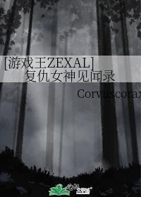 [游戏王ZEXAL]覆仇女神见闻录封面