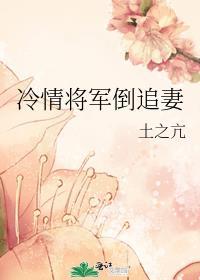冷情将军倒追妻封面