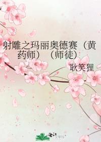 射雕之玛丽奥德赛（黄药师）（师徒）封面