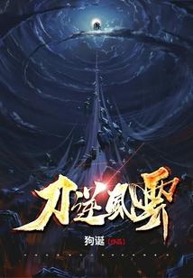 刀逆风云封面