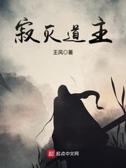 寂灭道主封面