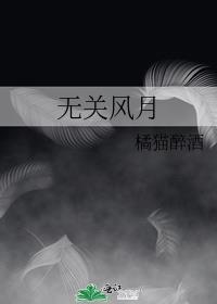 无关风月封面