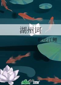 湖州词封面
