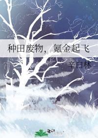 种田废物，氪金起飞封面