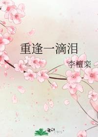 重逢一滴泪封面
