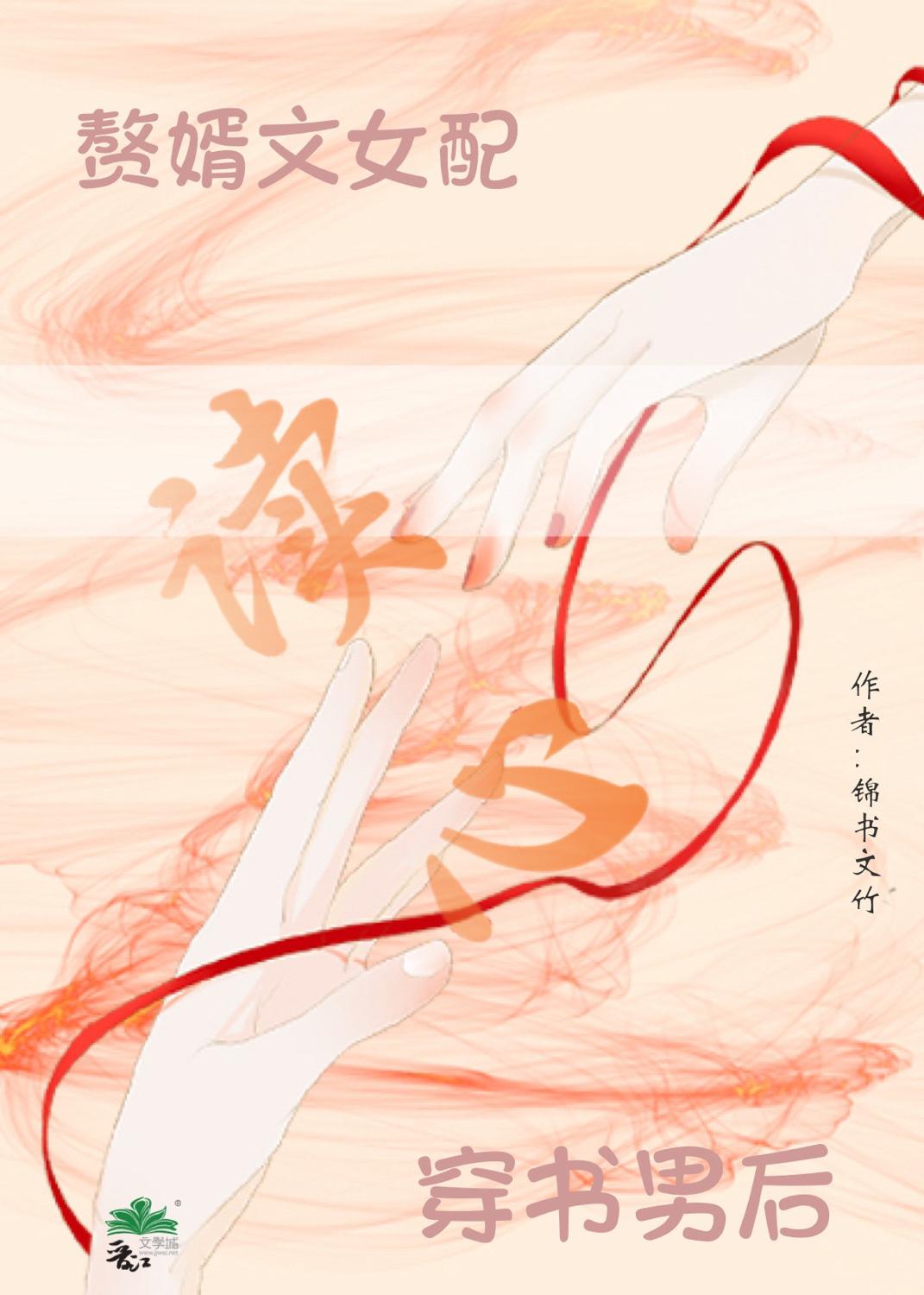 赘婿文女配读心穿书男后封面