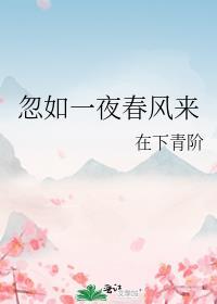 忽如一夜春风来封面