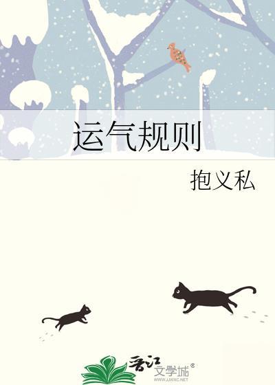运气规则封面