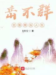 岳不群也要模拟人生封面