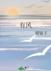 有风封面