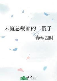 末流总裁家的二傻子封面