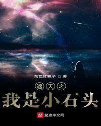 遮天之我是小石头封面