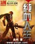 纯血人王封面