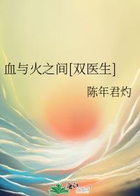 血与火之间[双医生]封面