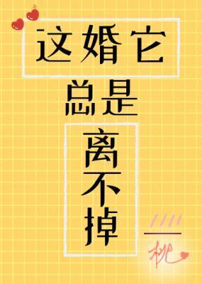 这婚它总是离不掉封面