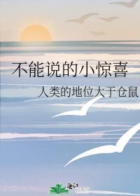不能说的小惊喜封面