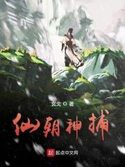 仙朝神捕封面