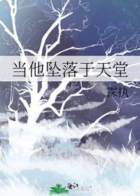 当他坠落于天堂封面