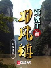 刀风镇封面