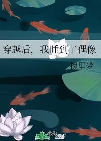 穿越后，我睡到了偶像封面