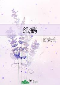 纸鹤封面