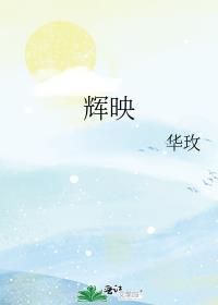 辉映封面
