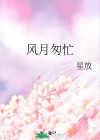 风月匆忙封面