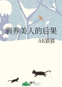 驯养美人的后果封面