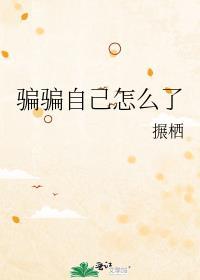 骗骗自己怎么了封面