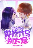 青梅且把时光暖封面