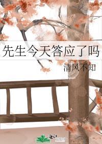 先生今天答应了吗封面