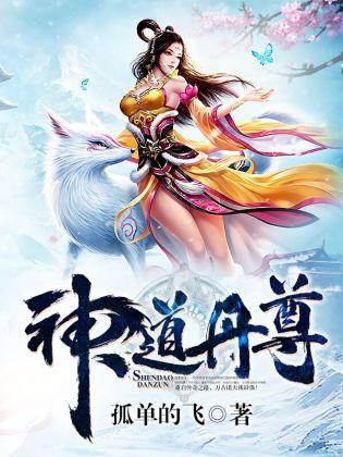 高昌王妃（H）封面