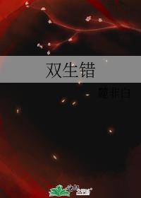 双生错封面
