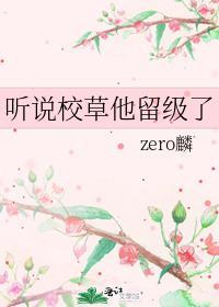 听说校草他留级了封面