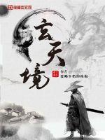 玄天境封面