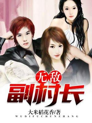 无敌副村长封面