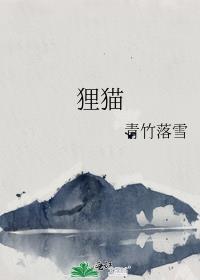 貍猫封面