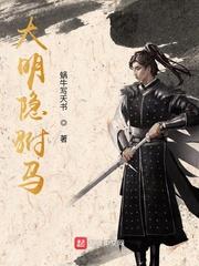 大明隐驸马封面