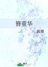 簪重华封面