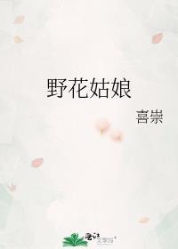 野花姑娘封面