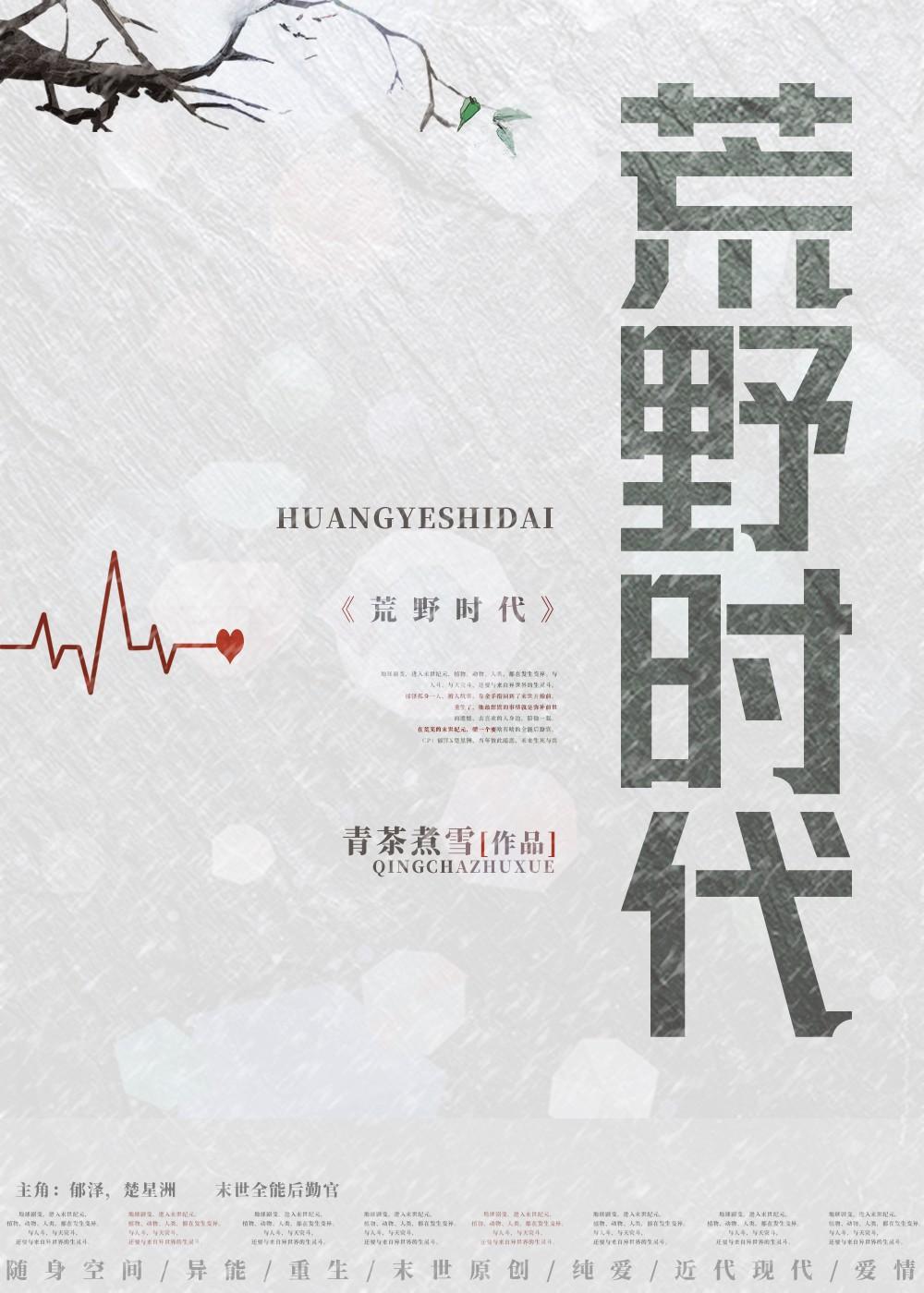 荒野时代封面