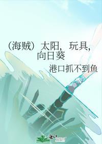 （海贼）太阳，玩具，向日葵封面